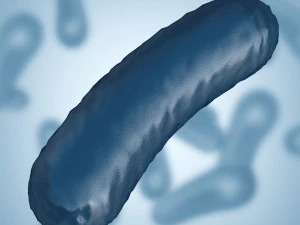 batterio 3 Modello 3D