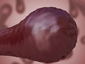 batterio 3 Modello 3D