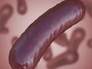 batterio 3 Modello 3D