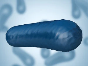 batterio 3 Modello 3D