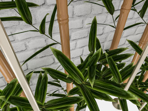 3d bamboo decor 3D Model