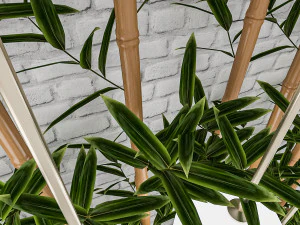 3d bamboo decor 3D Model