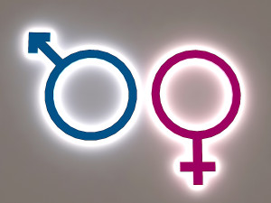 wc signage 3Dモデル