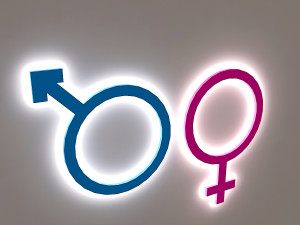wc signage Modèle 3D