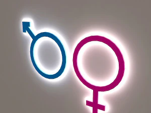 wc signage 3D Model