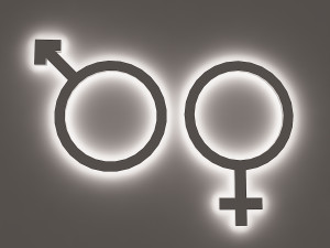 wc signage Modèle 3D