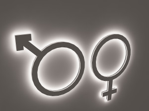 wc signage Modèle 3D