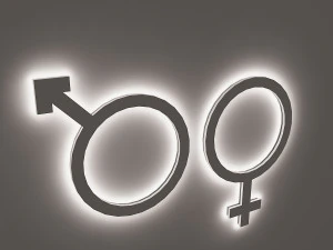 wc signage 3D Model