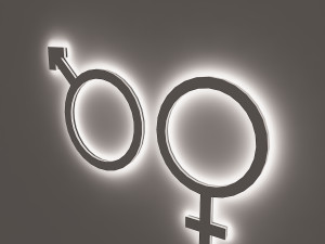 wc signage Modèle 3D