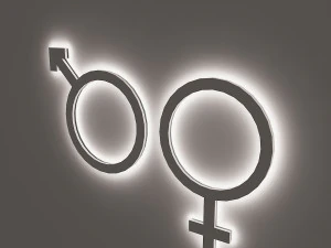 wc signage 3D Model