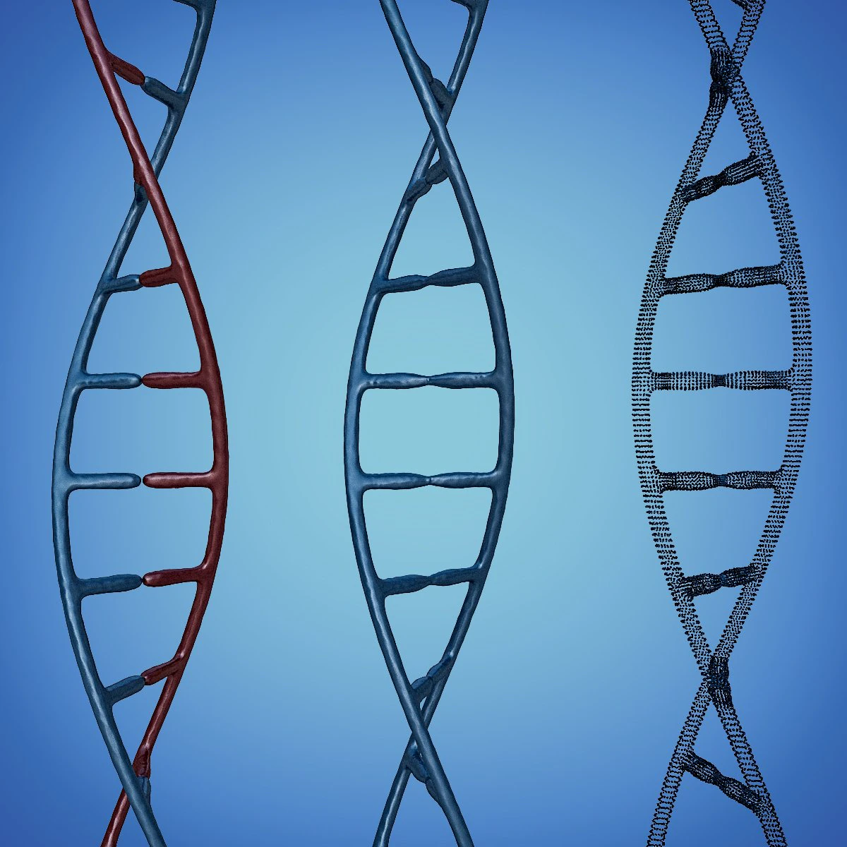 3d dna model 3D Model .c4d .max .obj .3ds .fbx .stl .blend 