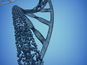 3d dna model Modello 3D