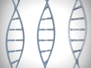 3d dna model Modello 3D