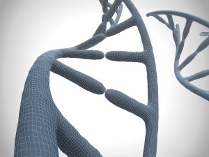 3d dna model Modello 3D