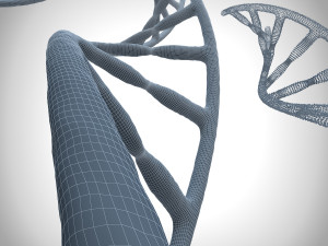 3d dna model Modello 3D