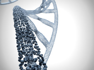 3d dna model Modello 3D