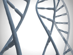 3d dna model Modello 3D