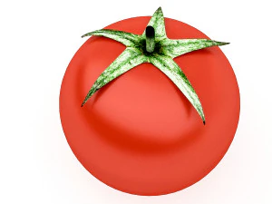 3d tomato model 3D Model