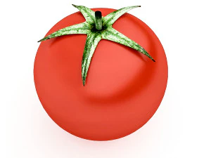 3d tomato model 3D Model