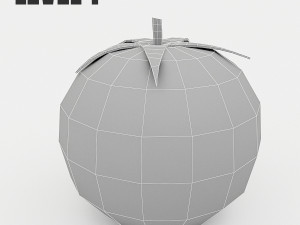 3d tomato model Modelo 3D