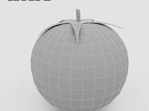 3d tomato model 3D Model