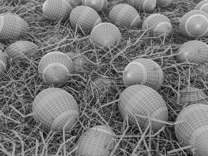 barrels and organic eggs 3D Модель