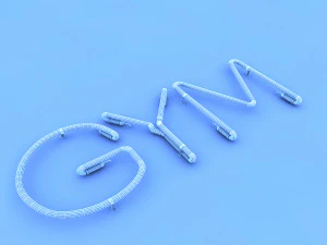 gym neon sign 3D Model