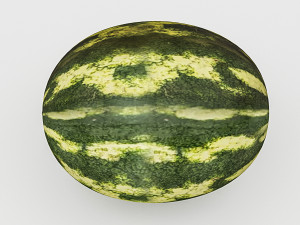 3d watermelon model Model 3D