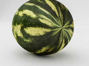 3d watermelon model 3D Model