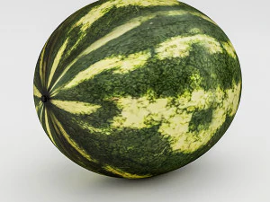 3d watermelon model 3D Model