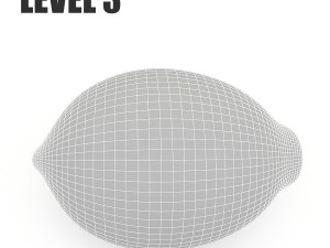 3d lemon model Modelo 3D