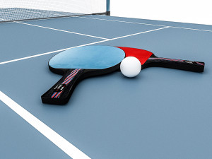 ping pong 3D 모델