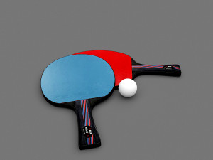 3d racket model 3D 모델