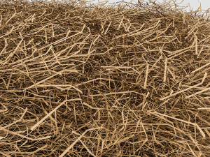 3d straw 3D Модель