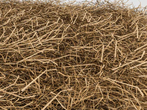 3d straw 3D Model