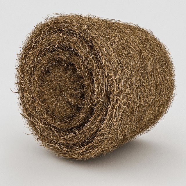 straw round model Modelo 3D .c4d .max .obj .3ds .fbx .stl .blend 