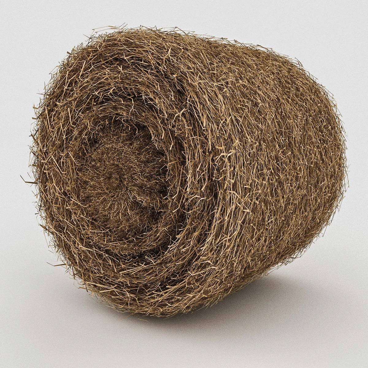 straw round model 3D Model .c4d .max .obj .3ds .fbx .stl .blend