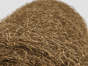 straw round model 3D Model