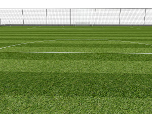 football field pack 3D 模型