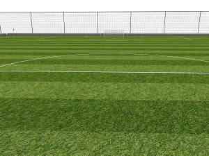 football field pack 3D Model