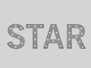 star sign with bulb Model 3D