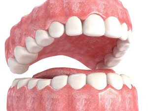 realistic mouth teeth Model 3D