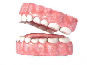 realistic mouth teeth 3D 모델