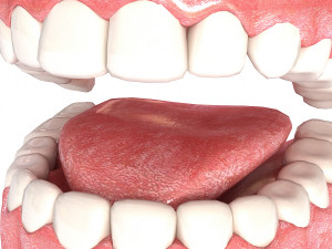 realistic mouth teeth 3D 모델
