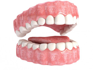 realistic mouth teeth 3D 모델
