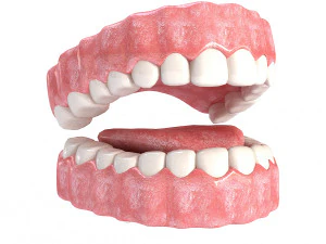 realistic mouth teeth 3D Model