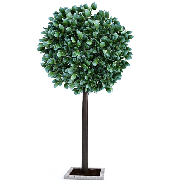 city tree Model 3D .c4d .max .obj .3ds .fbx .stl .blend 