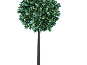 city tree 3D Model