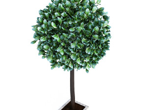 city tree Model 3D