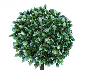city tree Model 3D